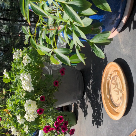 Large Vintage Pottery Ashtray - Picture 7 of 7